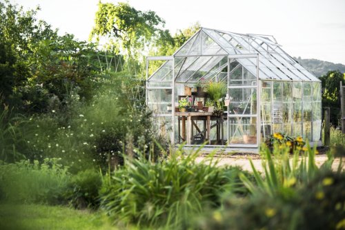 A Guide to Buying and Building DIY Greenhouse Kits Online