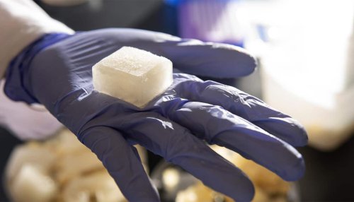 Reusable jelly 'ice cubes' never melt - Futurity