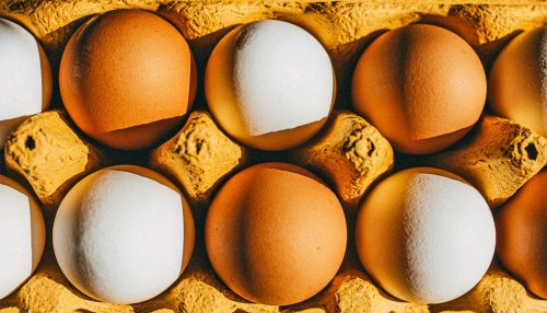 Why do chicken eggs come in different colors?