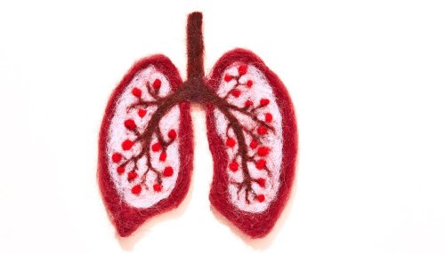 Can a cancer drug treat pulmonary fibrosis?