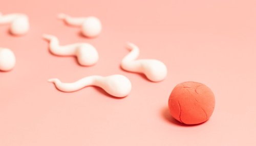 How a natural mechanism stymies fertility