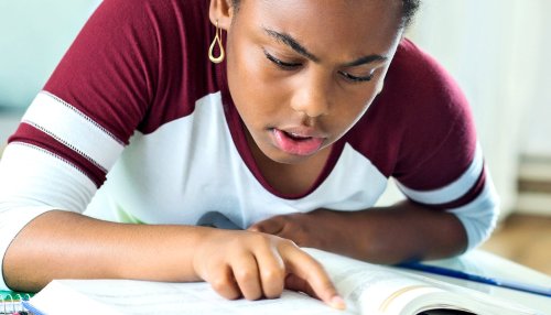 Expert: Few US schools teach Black history well - Futurity