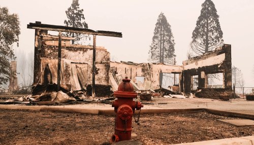Land’s ‘memory’ determined scope of awful Dixie Fire