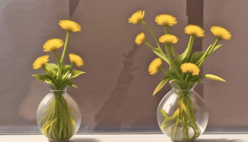 ‘MagicTime’ makes text-to-video AI more realistic