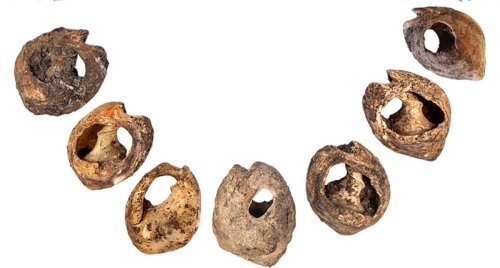 Ancient beads are the earliest sign of communication with fashion - Futurity