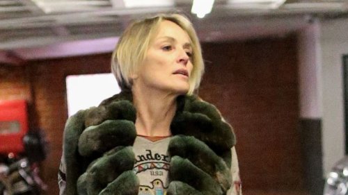 "Die Auswirkungen sind verheerend": Sharon Stone spricht über Verlust ihres Bruders und Neffen
