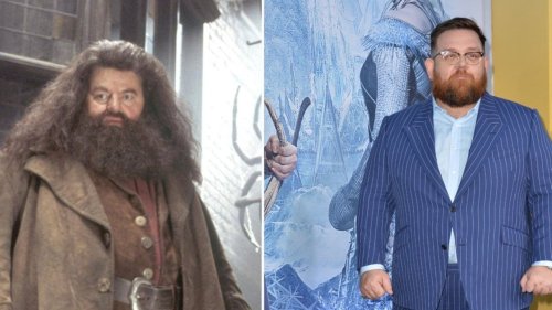 Nick Frost ist als Hagrid im Gespräch