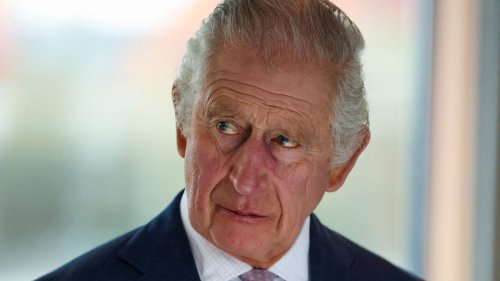 König Charles: Nur zwei Worte! Vernichtendes Urteil über Harry nach Netflix-Doku enthüllt