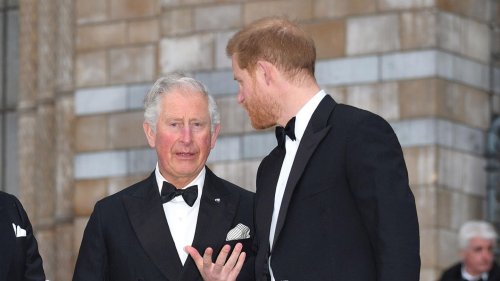König Charles: Bereit für Neuanfang mit Prinz Harry – unter einer Bedingung