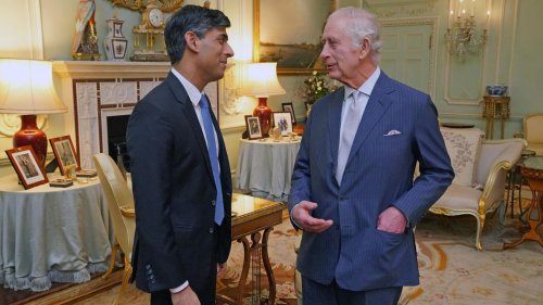 König Charles' erste Audienz nach Krebsdiagnose: Fotos im Hintergrund werfen Fragen auf