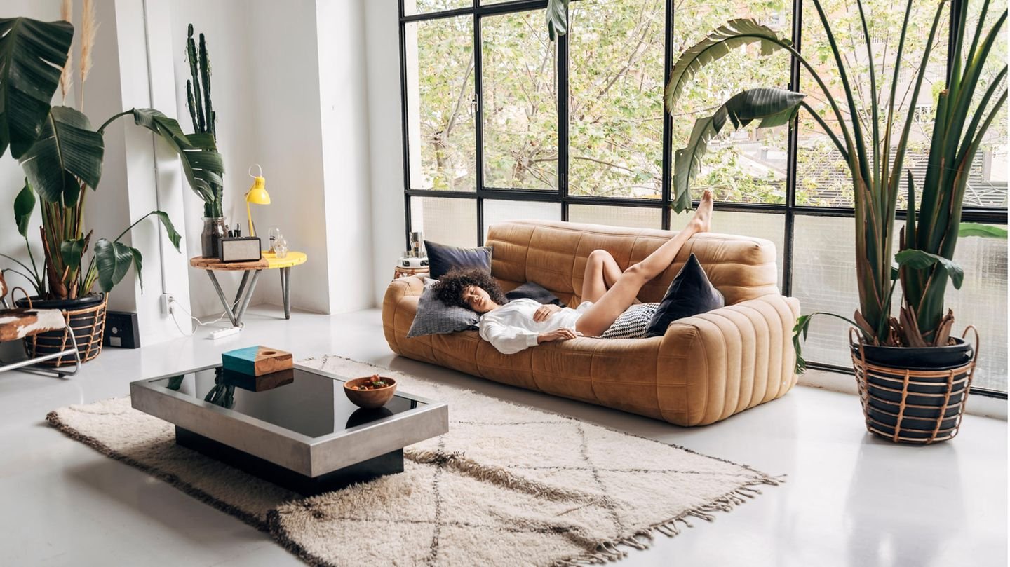 Lifestyle cover image