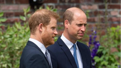 Prinz William + Prinz Harry in den USA: Das Duell der Brüder