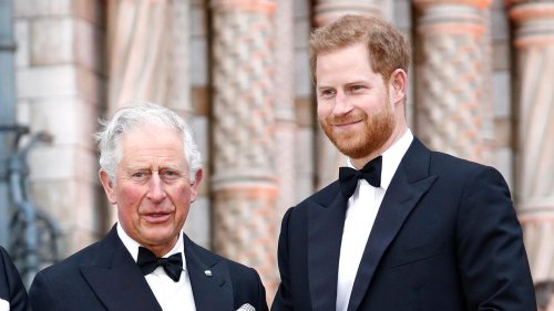 Prinz Harry: Statement zum Spenden-Skandal von Prinz Charles sorgt für Unruhe