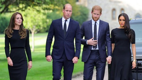 Prinz William + Prinz Harry: Halten sie Friedensgespräche ohne Kate und Meghan ab?