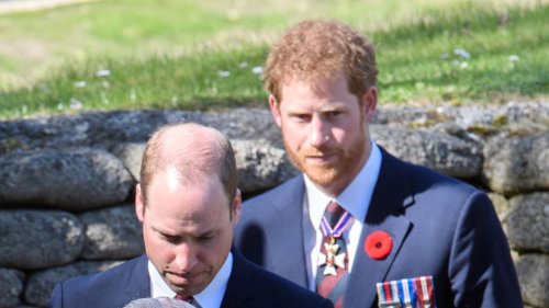 Prinz William: Er unterstützt König Charles – trotz Wut auf Harry