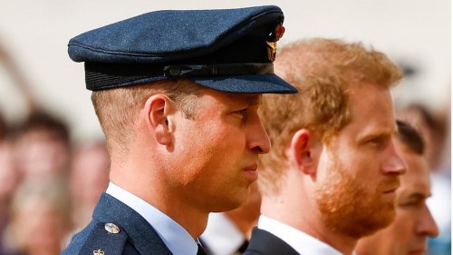 Prinz William + Prinz Harry: Ist diese Porträt-Entscheidung eine Reaktion auf ihren Streit?