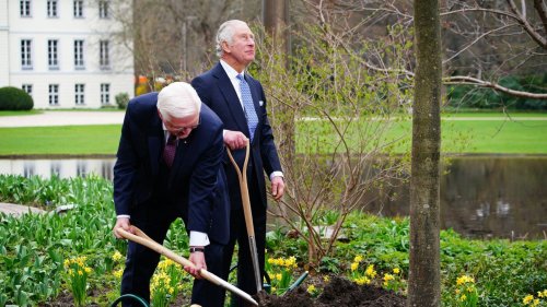 Bewegende Szene: König Charles pflanzt Baum – in Gedenken an die Queen