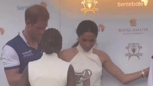 Aufgetauchtes Video mit Meghan wirft neues Licht auf Charity-Streit