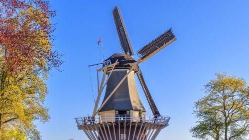 Die schönsten Gärten der Welt