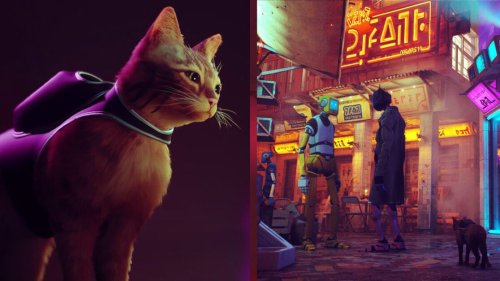 Upcoming Cat Simulator 'Stray' Release Date Possibly Leaked