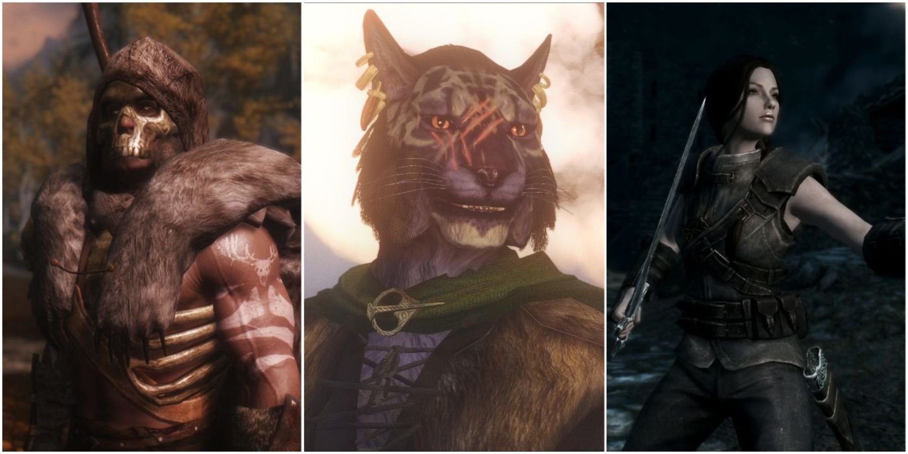 Skyrim: 18 Best Follower Mods You Need To Install