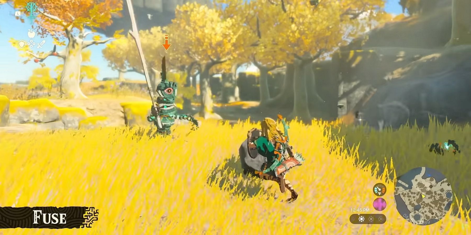 Zelda: Tears of the Kingdom Fuse Ability Hints at Interesting Weapon Combination