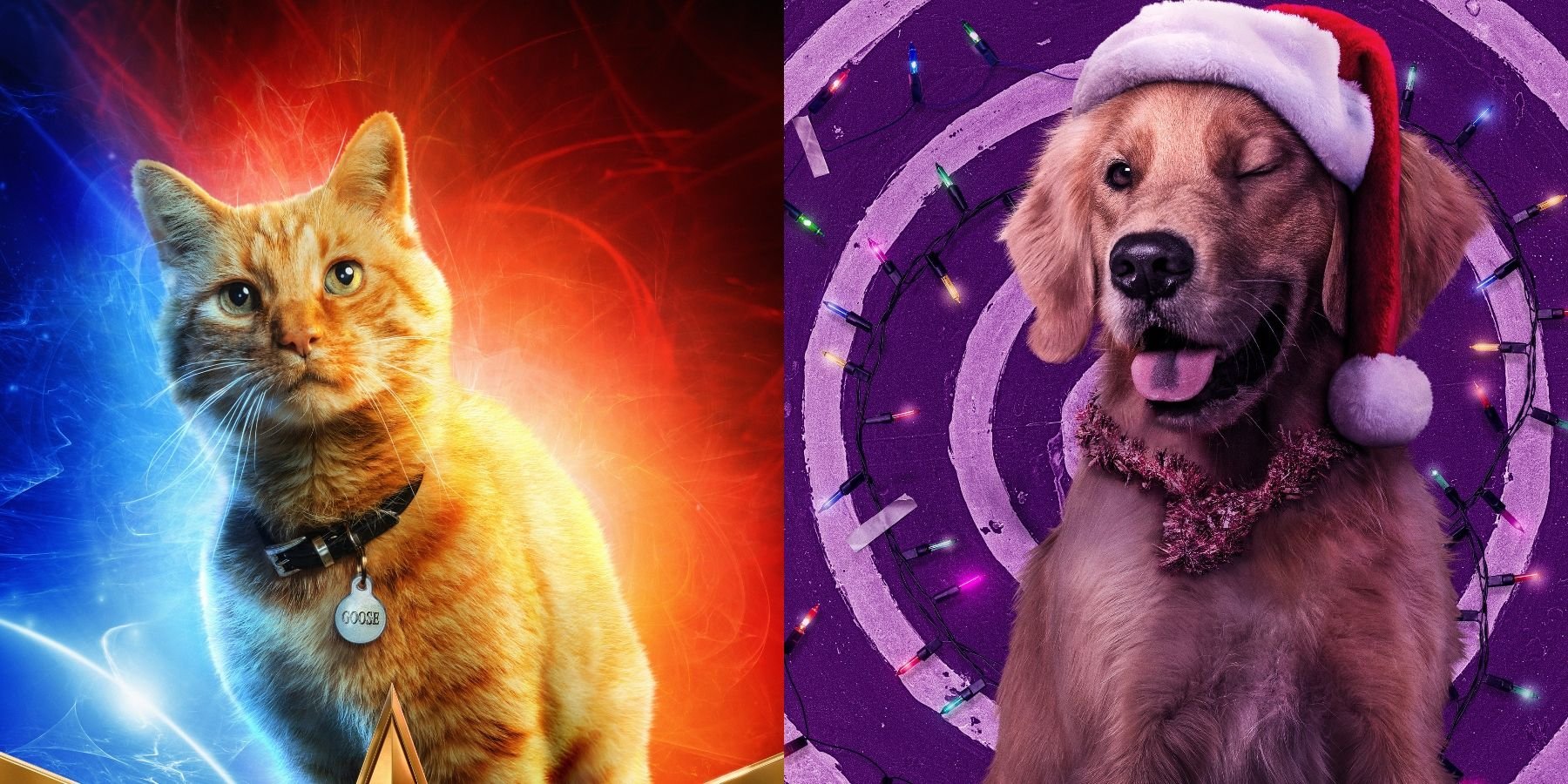 The Best Pets of the MCU