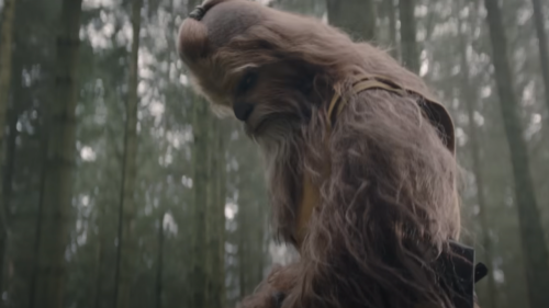 Chewbacca Actor Talks About Playing A Jedi Wookie In The Acolyte