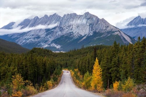 40 Things To Know Before Visiting Canada For First Timers