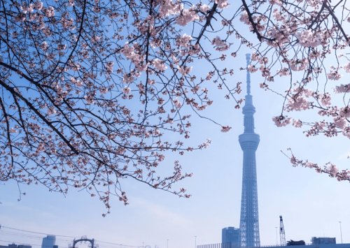 36 Hours in Tokyo: Everything To Do and What Not to Miss