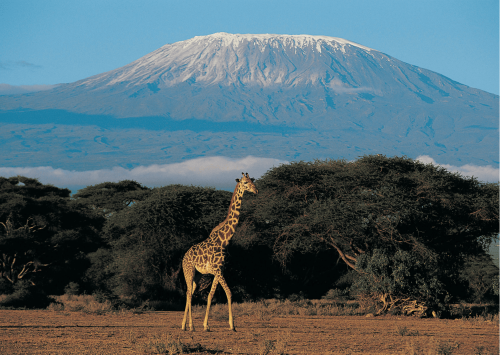 Guide to Climbing Mount Kilimanjaro: 2024 Kilimanjaro Tours