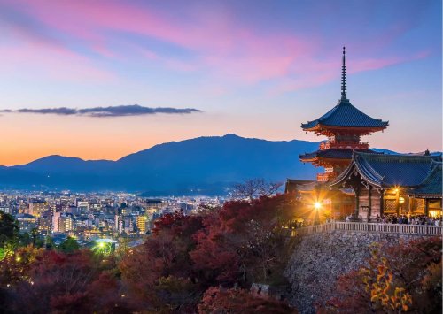 Tokyo Vs Kyoto: Which Is Better For Travel?
