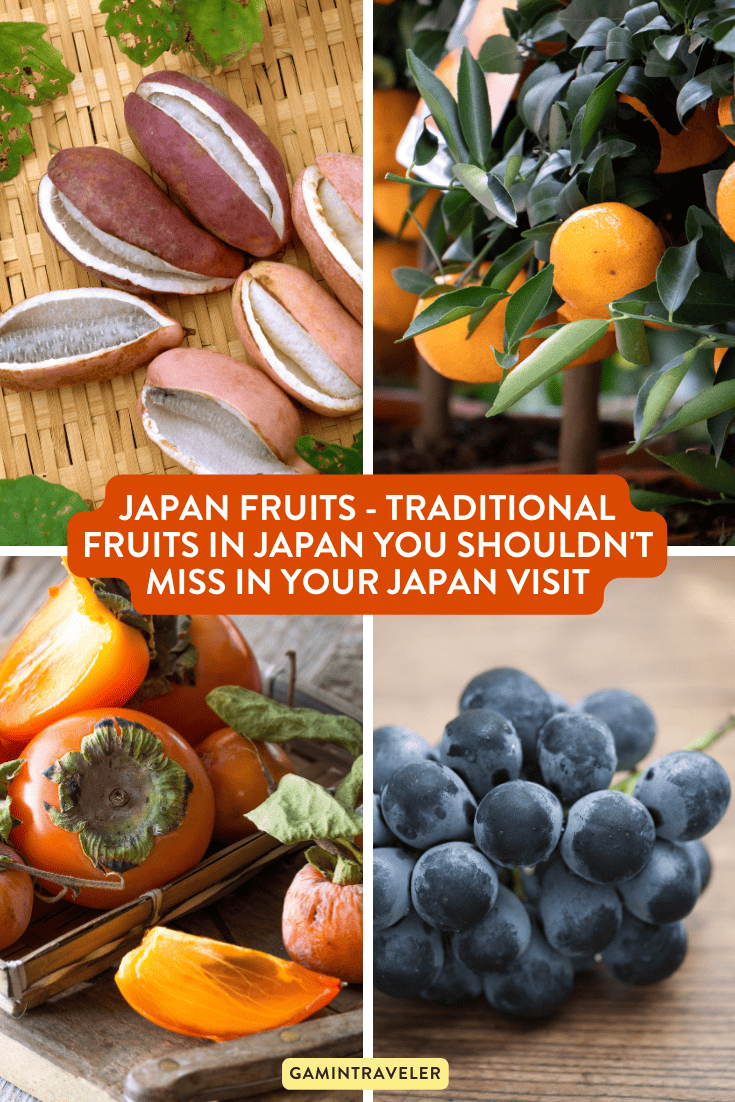 Japan Fruits – Traditional Fruits in Japan You Shouldn't Miss in Your Japan Visit