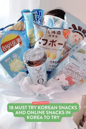 18 Must Try Korean Snacks and Online Snacks in Korea to Try