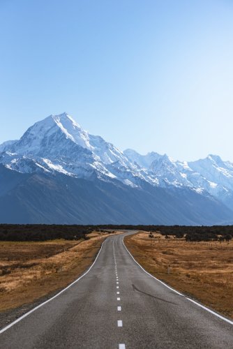 4 Best Things To Do In New Zealand