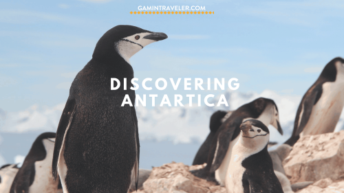 5 Reasons Why Choose Antarctica As Your Next Travel Destination