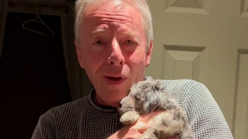 Watch this dad’s reaction to getting a new puppy after losing the family dog a year before