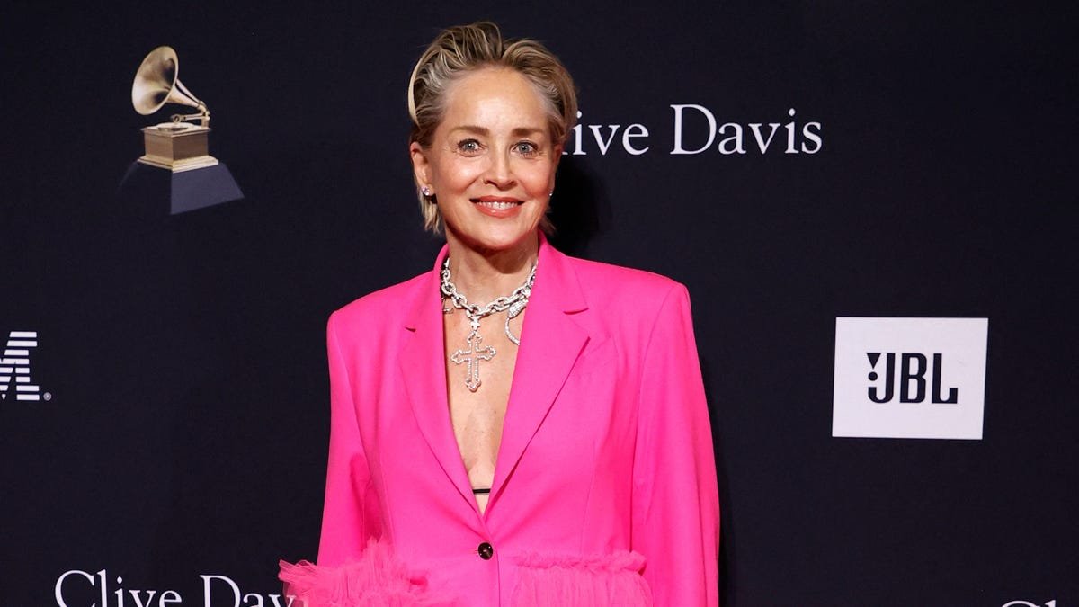 Sharon Stone Says Losing Custody Of Son After 'Basic Instinct' Role ...