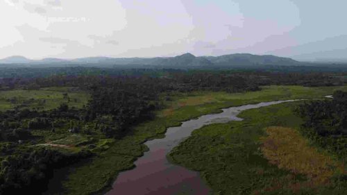 The sacred Osun River becoming increasingly toxic