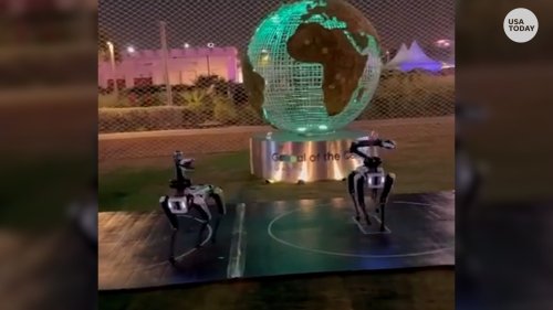 World Cup fans dazzled by robot dance performance in Qatar
