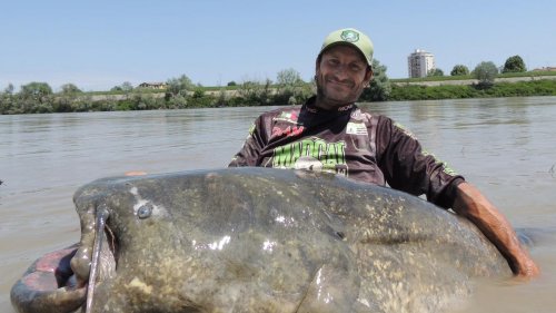 Enormous 9-foot-long catfish caught in Italy could break world record