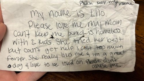 'Please love me': Dog named Lilo arrives at animal shelter with 'gut-wrenching' note from owner