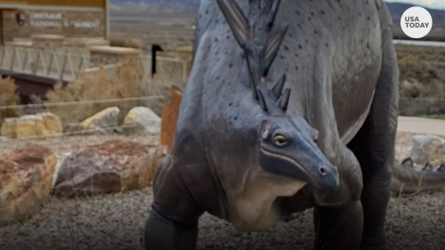 Discover thousands of dinosaur fossils at Dinosaur National Monument in CO, UT