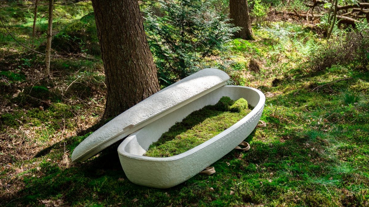 Mushroom coffin that biodegrades in 45 days will be available in the US