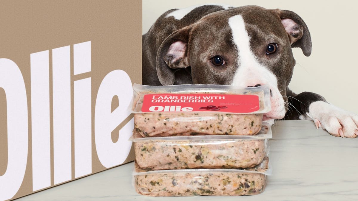 Ollie dog food will satisfy your pup and your wallet—save 60% on your first box of meals now