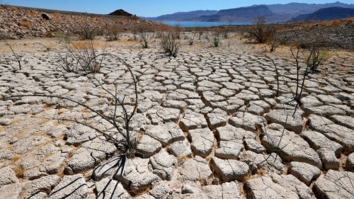 Las Vegas authorities: Man found in barrel in Lake Mead amid drought ...