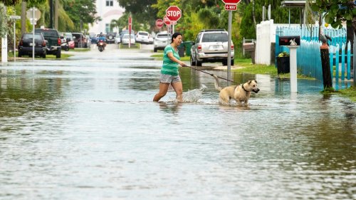 Hurricane Ian nears historic Category 5 status as it nears Florida landfall: Live updates