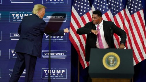 Who is Herschel Walker? The former football star running for Senate in Georgia as a Republican