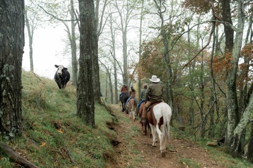 These Southern Dude Ranches Combine Luxury and the Great Outdoors