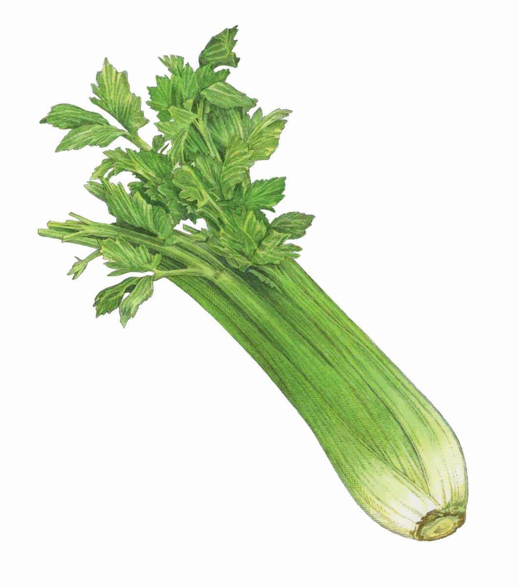Celery Gets the Star Treatment in This Craveable Salad